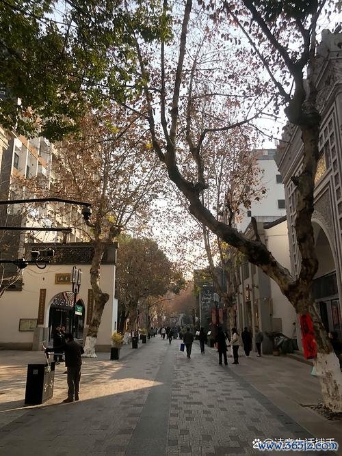 萨林杰23+20难救主 北控不敌山东 谢智杰17分闪耀